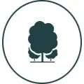 LIDAR360 Module Forestry