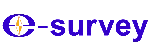 E-survey