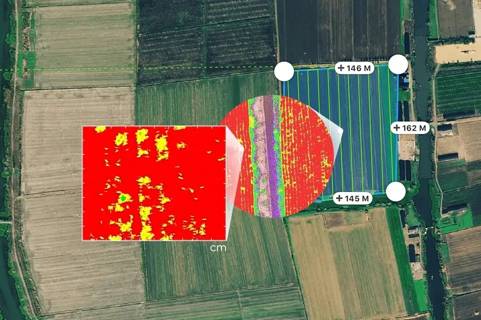 P4_Multispectral_6.webp