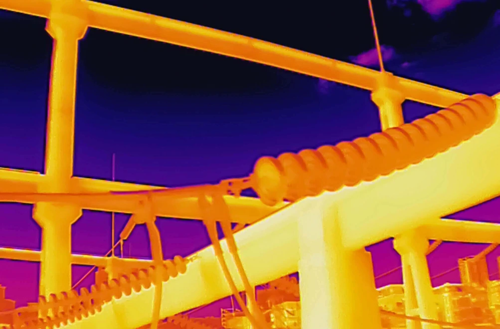 thermal_image.webp