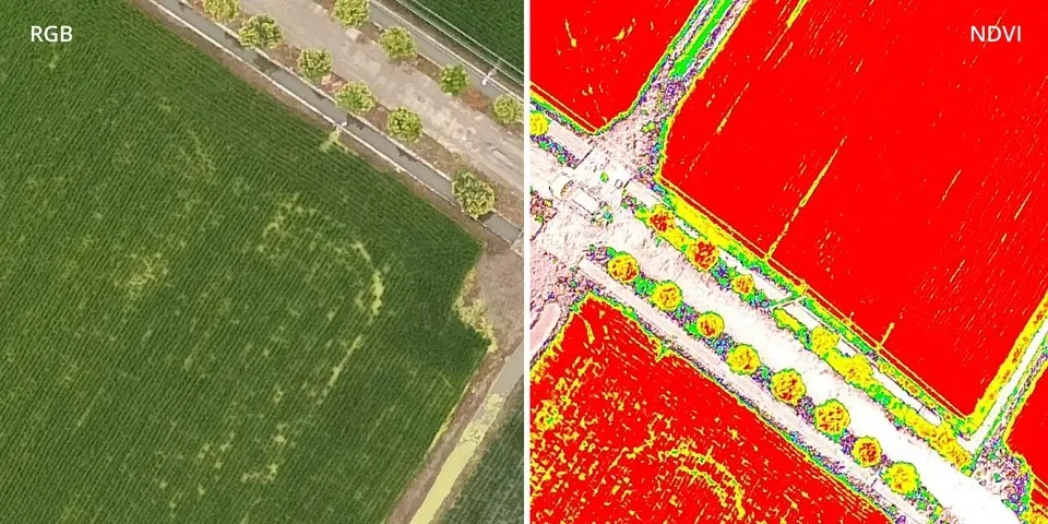 P4_Multispectral_5.webp